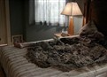 Burned to Ash picture