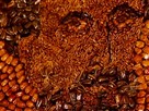 Seed Art