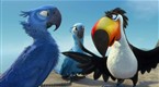 Movie Trailers - Rio