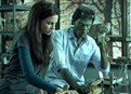 Digital Short: Firelight picture