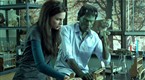 Saturday Night Live: Digital Short: Firelight