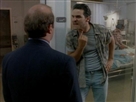 The Commish Adventures in the Skin Trade (2)