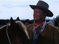 McLintock!