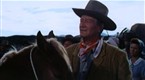 McLintock!