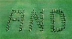 The Electric Company 1970s: A Marching Band Spells "And."
