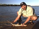 Sawfish Pupping Ground