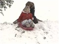NBC Nightly News with Brian Williams - &rsquo;Tis The Season ... For Snow And Rain In California