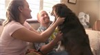 Dog Whisperer: Harley, Annabelle &amp; Memphis (season 5, episode 18)