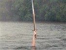 Excalibur