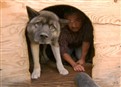 Run Home Roscoe! picture