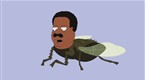 Fly On the Wall