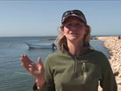 Baja Mexico: Whale Adventure