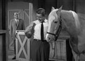 play video on Hulu