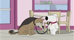 Family Guy: Value of a Dog