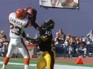 Cincinnati Bengals