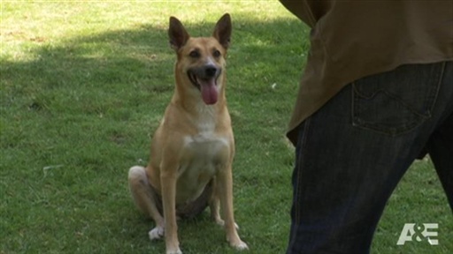 gene simmons tongue length. Gene Simmons Family Jewels: