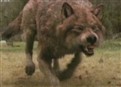 ‘New Moon’ Preys On Box Office Rivals picture