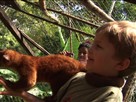 Costa Rica: Volcanoes and Rainforest Adventure