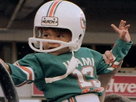 Miami Dolphins