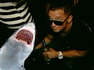 Jersey Sharks, Drunken Criminals, Maury Math and Tasteless Tweets