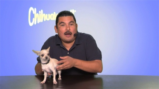 The ChihuaWow!