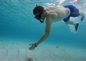 play video on Hulu